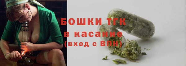стаф Покачи